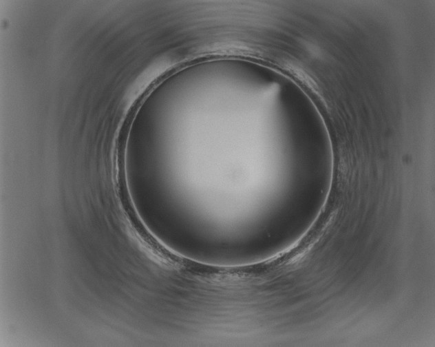 X0000065971082200603061143