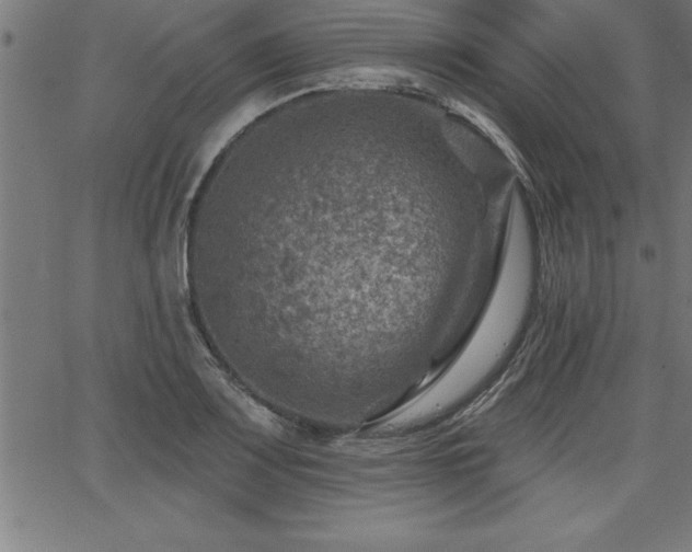 X0000065971083200603061143