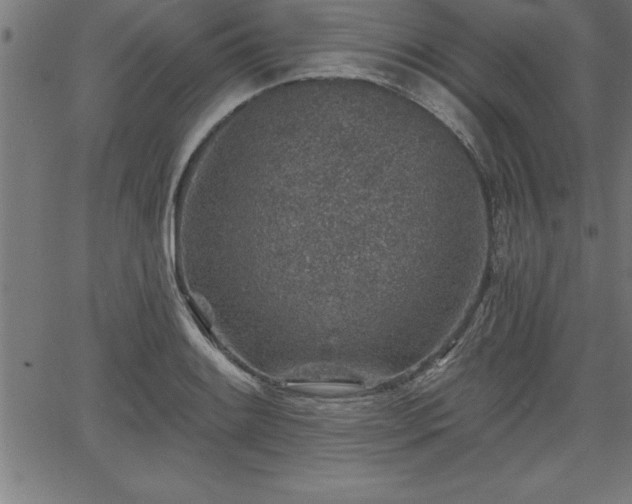 X0000065971084200603061143