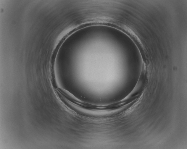 X0000065971085200603061143