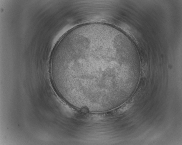 X0000065971086200603061143