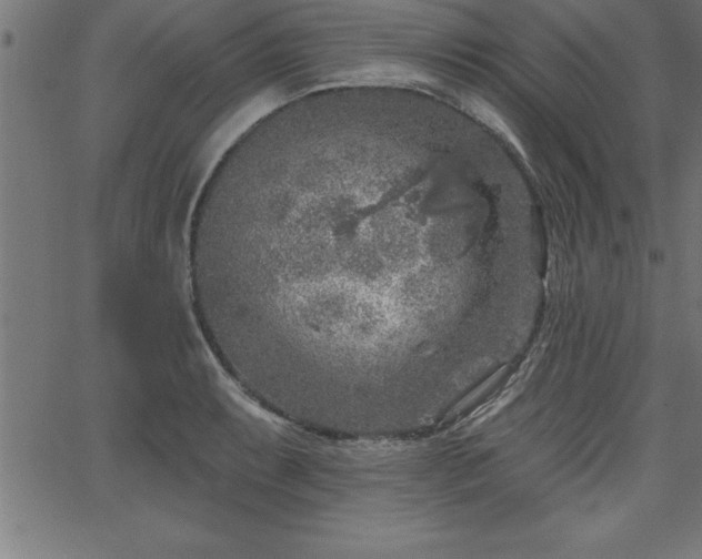 X0000065971087200603061143