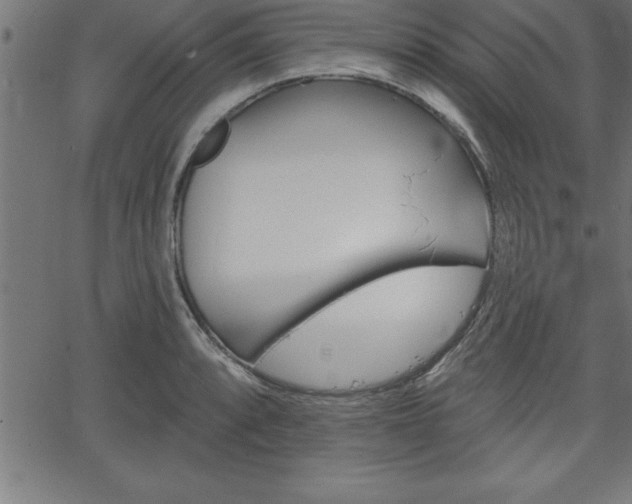 X0000065971088200603061143