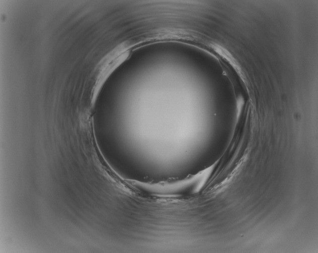 X0000065971089200603061143