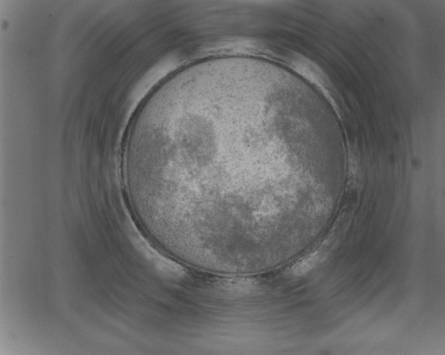 X0000065971090200603061143