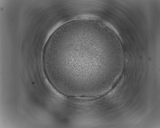 X0000065971091200603061143