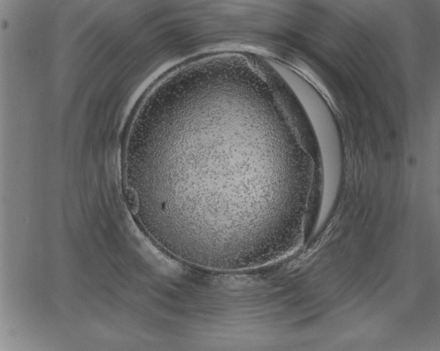 X0000065971092200603061143