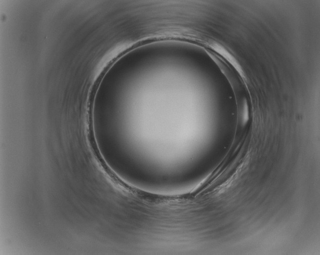 X0000065971093200603061143