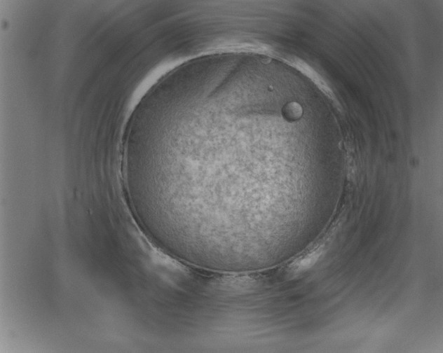 X0000065971094200603061143