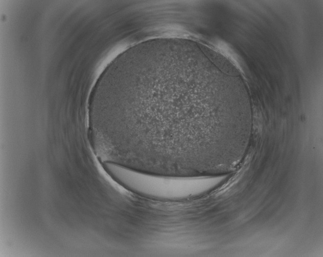 X0000065971095200603061143