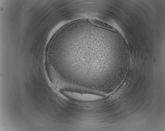 X0000065971096200603061143