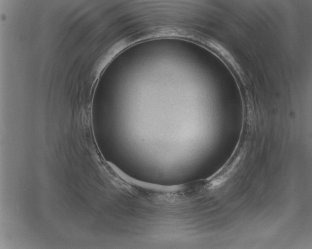 X0000065971097200603061143