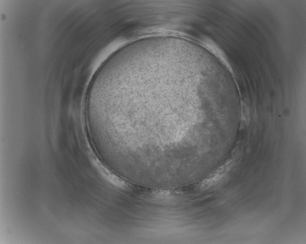 X0000065971098200603061143