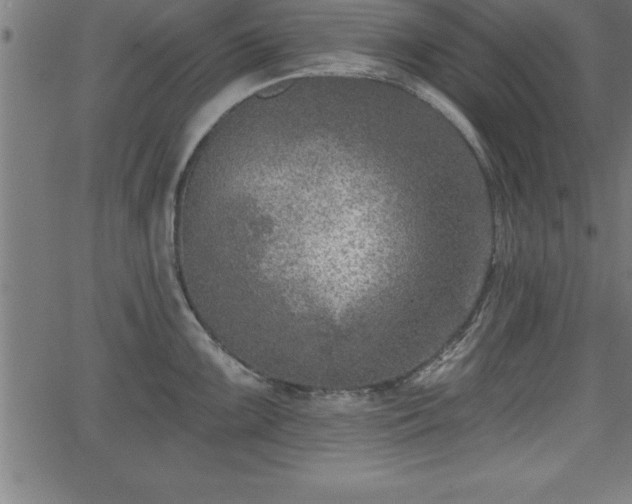 X0000065971099200603061143