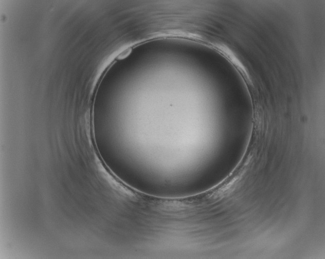 X0000065971100200603061143