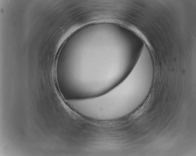 X0000065971101200603061143