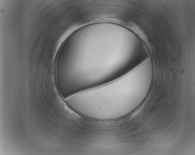 X0000065971102200603061143