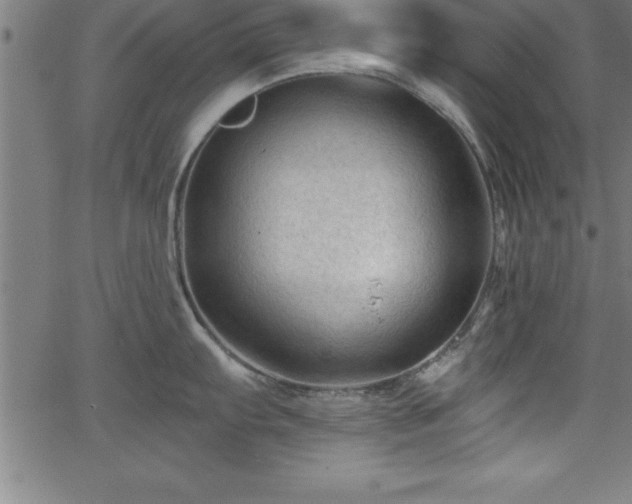 X0000065971103200603061143