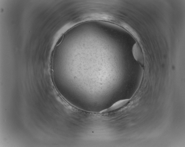 X0000065971104200603061143