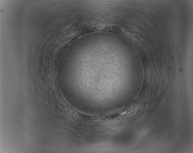 X0000065971105200603061142