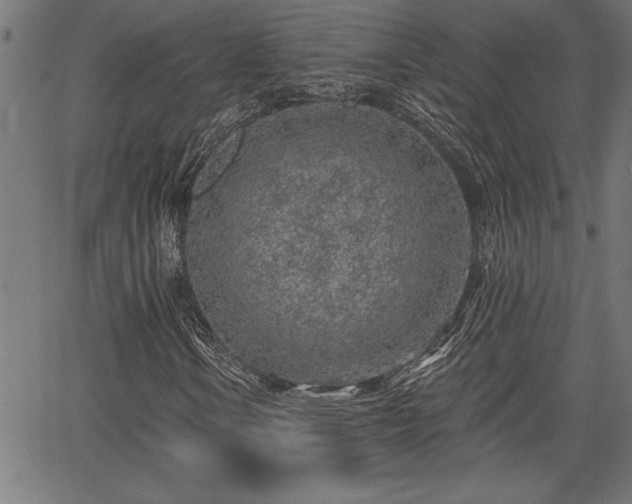 X0000065971106200603061142