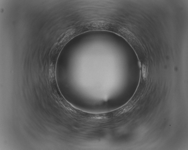 X0000065971107200603061142