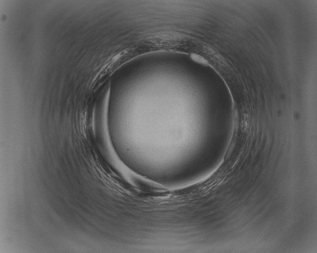 X0000065971108200603061142