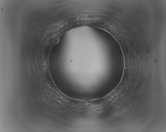 X0000065971109200603061142