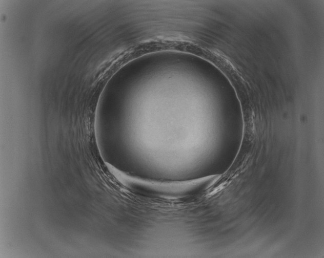 X0000065971110200603061142