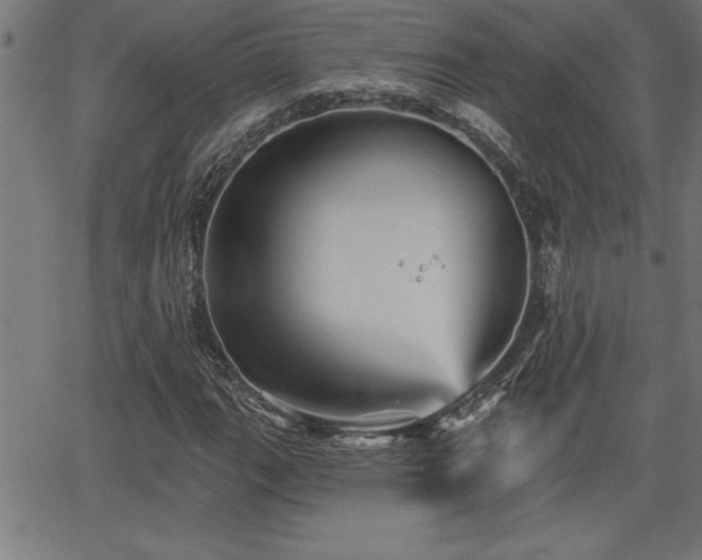 X0000065971111200603061142