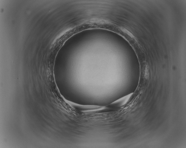 X0000065971112200603061142