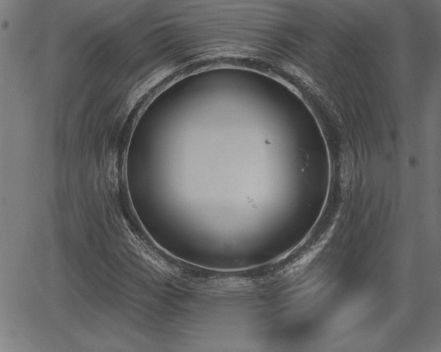 X0000065971113200603061142