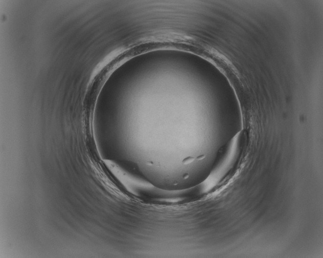 X0000065971114200603061142