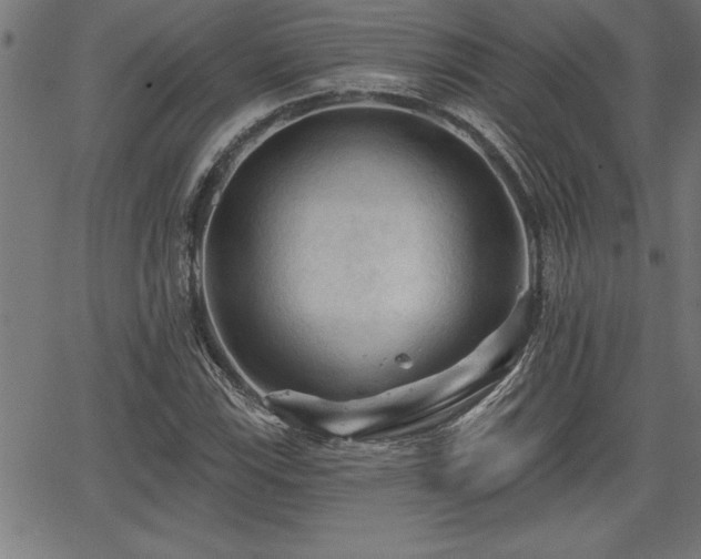 X0000065971115200603061142