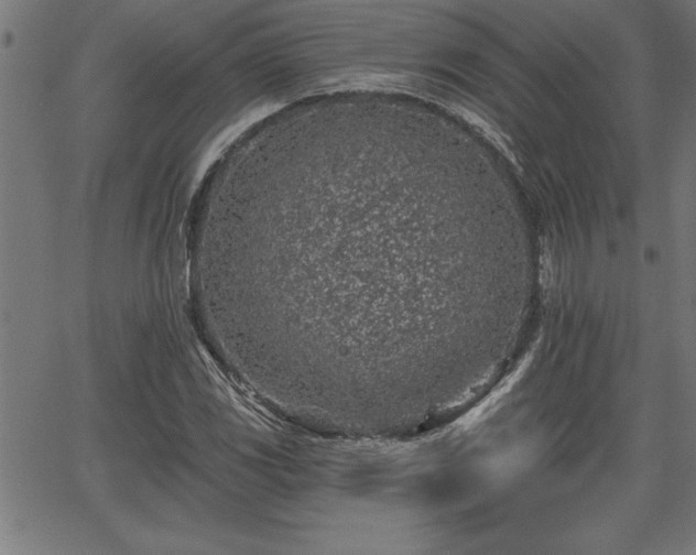 X0000065971117200603061142