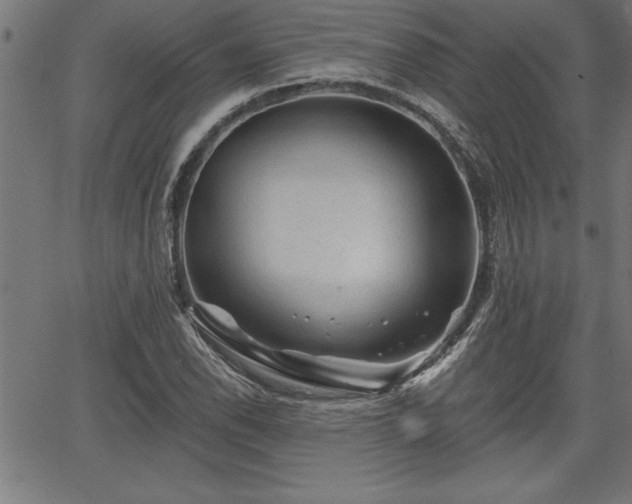 X0000065971118200603061142