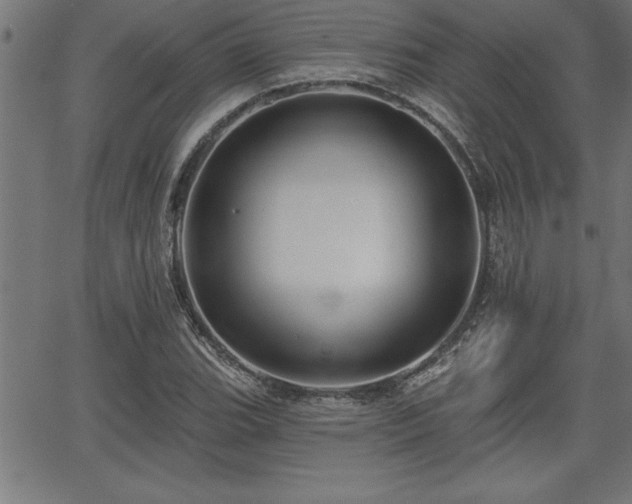 X0000065971119200603061142