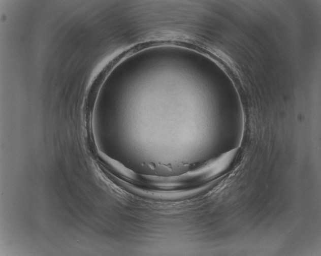 X0000065971120200603061142