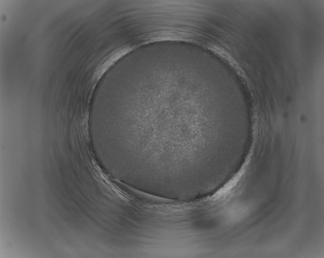 X0000065971121200603061142