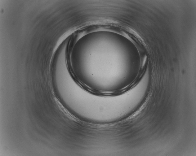 X0000065971122200603061142