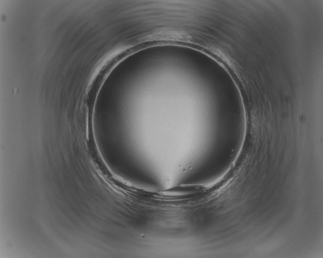 X0000065971123200603061142