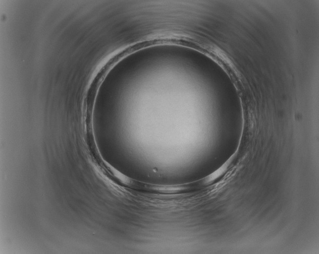 X0000065971124200603061142