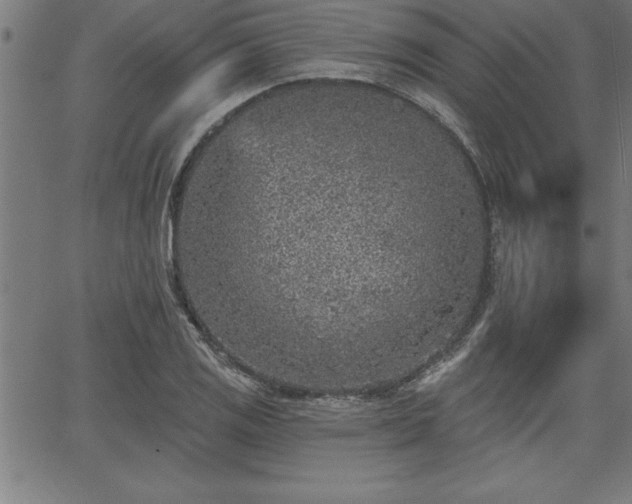 X0000065971125200603061143