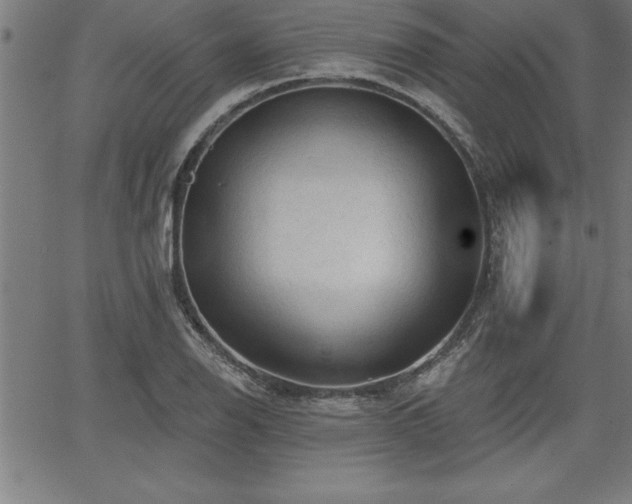 X0000065971126200603061143