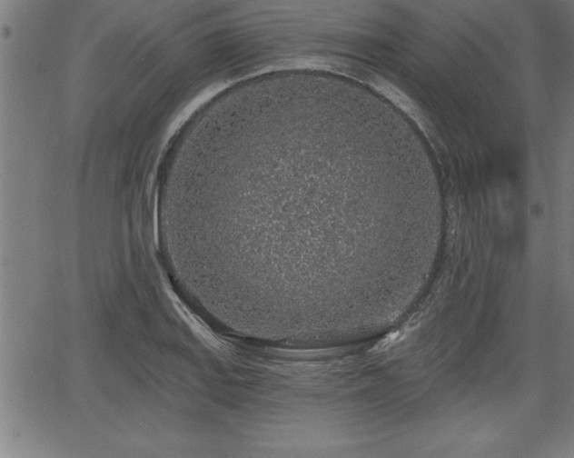 X0000065971127200603061143