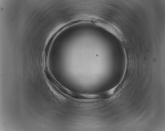 X0000065971128200603061143