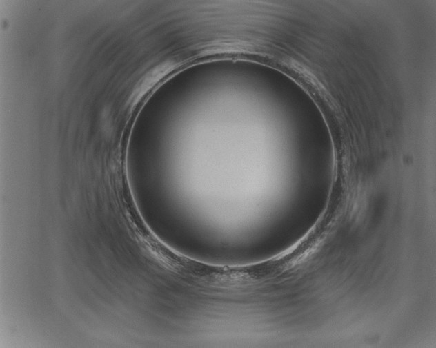 X0000065971129200603061143