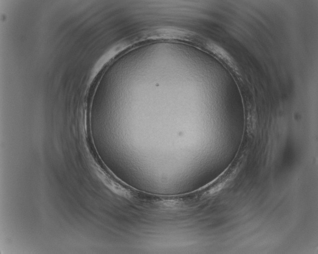 X0000065971130200603061143