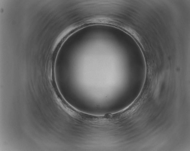 X0000065971131200603061143