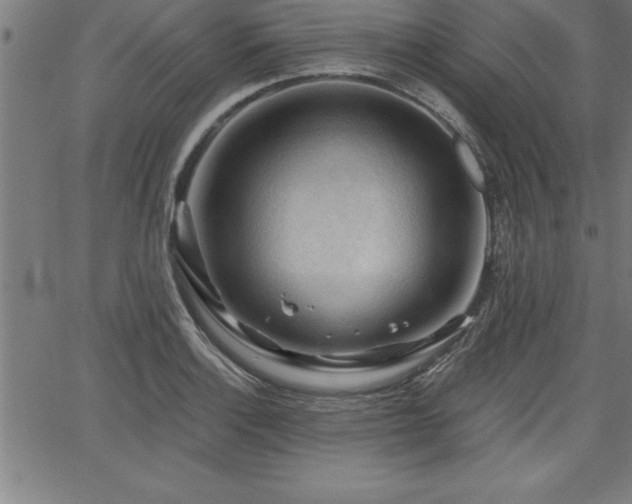 X0000065971132200603061143